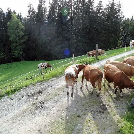 Farm stay Unterleitenhof